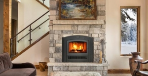 Renewable Solid Fuel Fireplace
